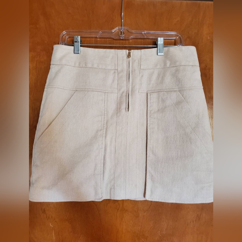 Ann Taylor Skirt